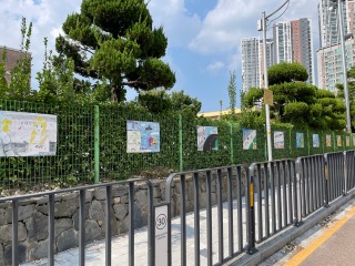 06.jpg